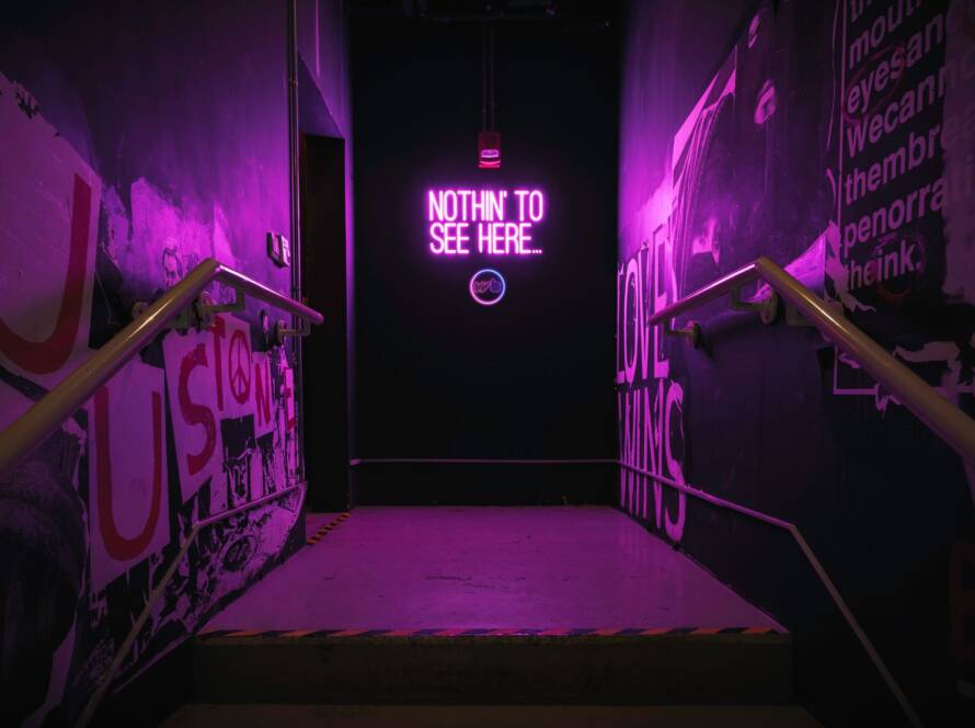 Cannabis Publications to Pay Attention to 2022: The Top 10